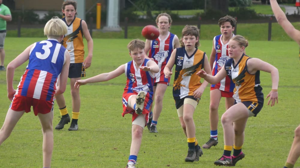 Big week on the field for junior Dogs - U14 Blue post image