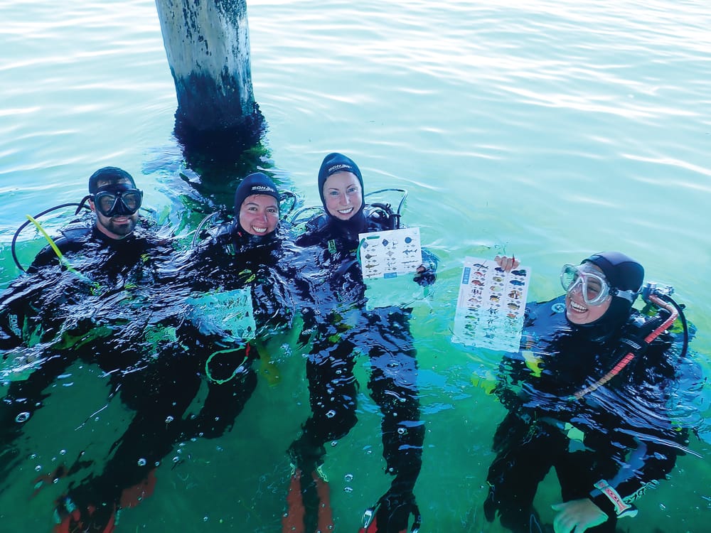 Free marine talk in Cowes post image