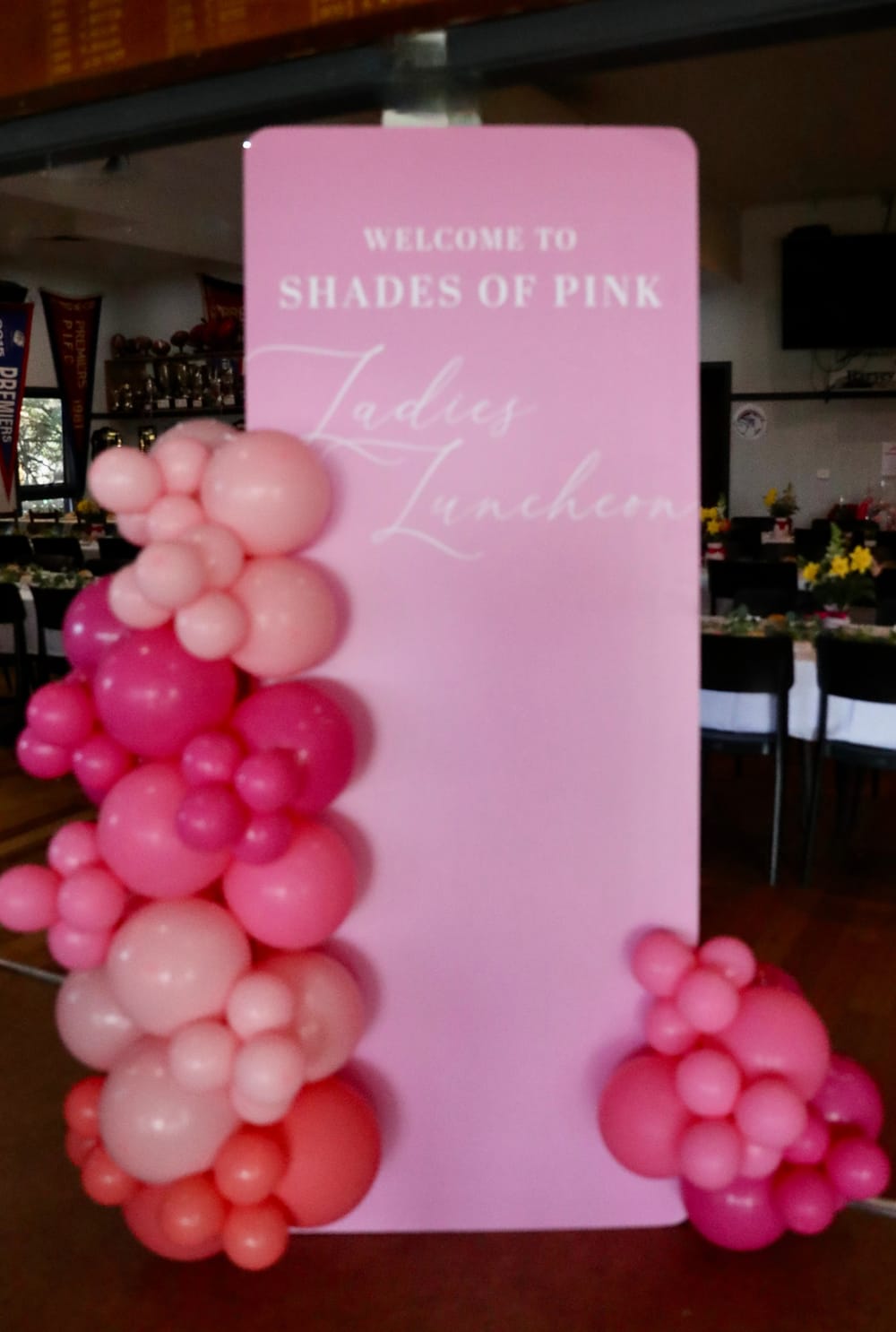 Shades of Pink 2025 post image