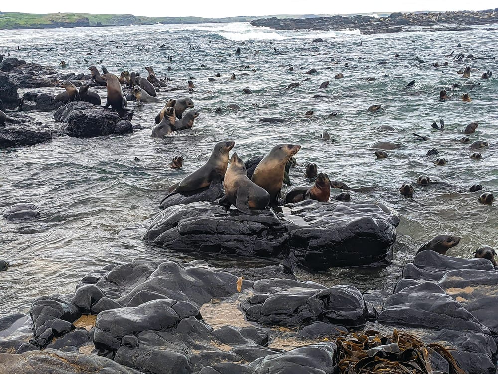 Nature Parks joins the festival post image