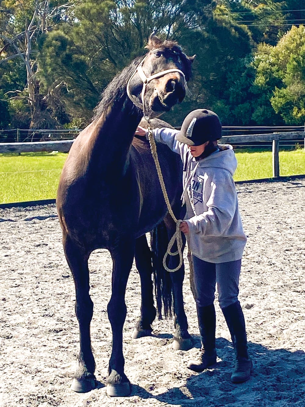 Pony club news post image