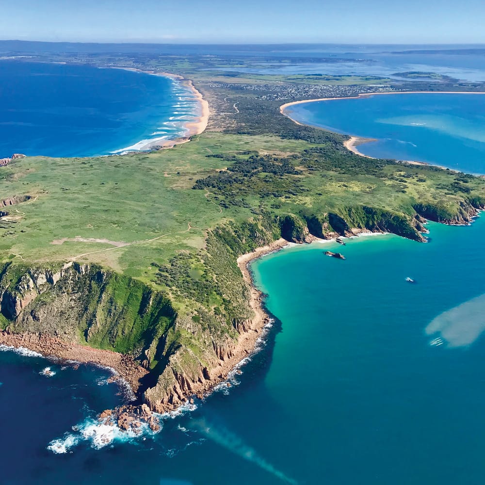 Phillip Island may avoid mega tourism merger post image