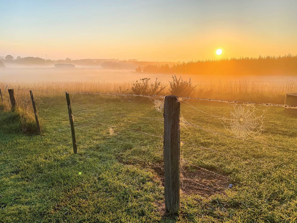 Morning, sunshine post image