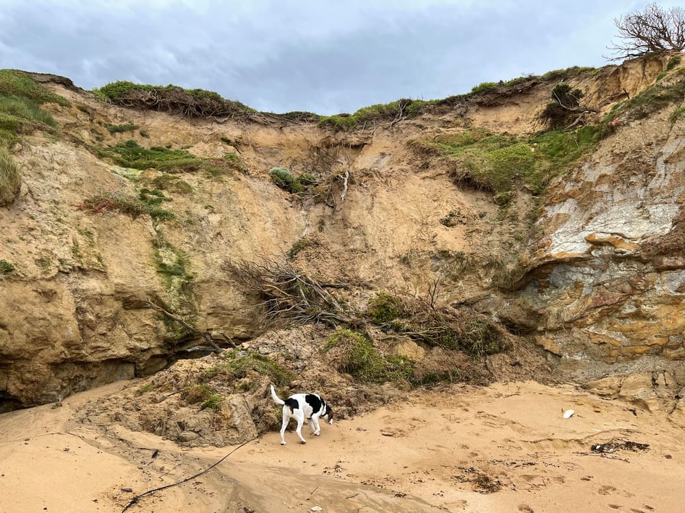 Look out for a landslide post image