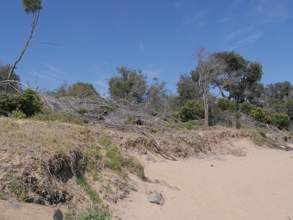 Cowes to Ventnor trail goes cold post image