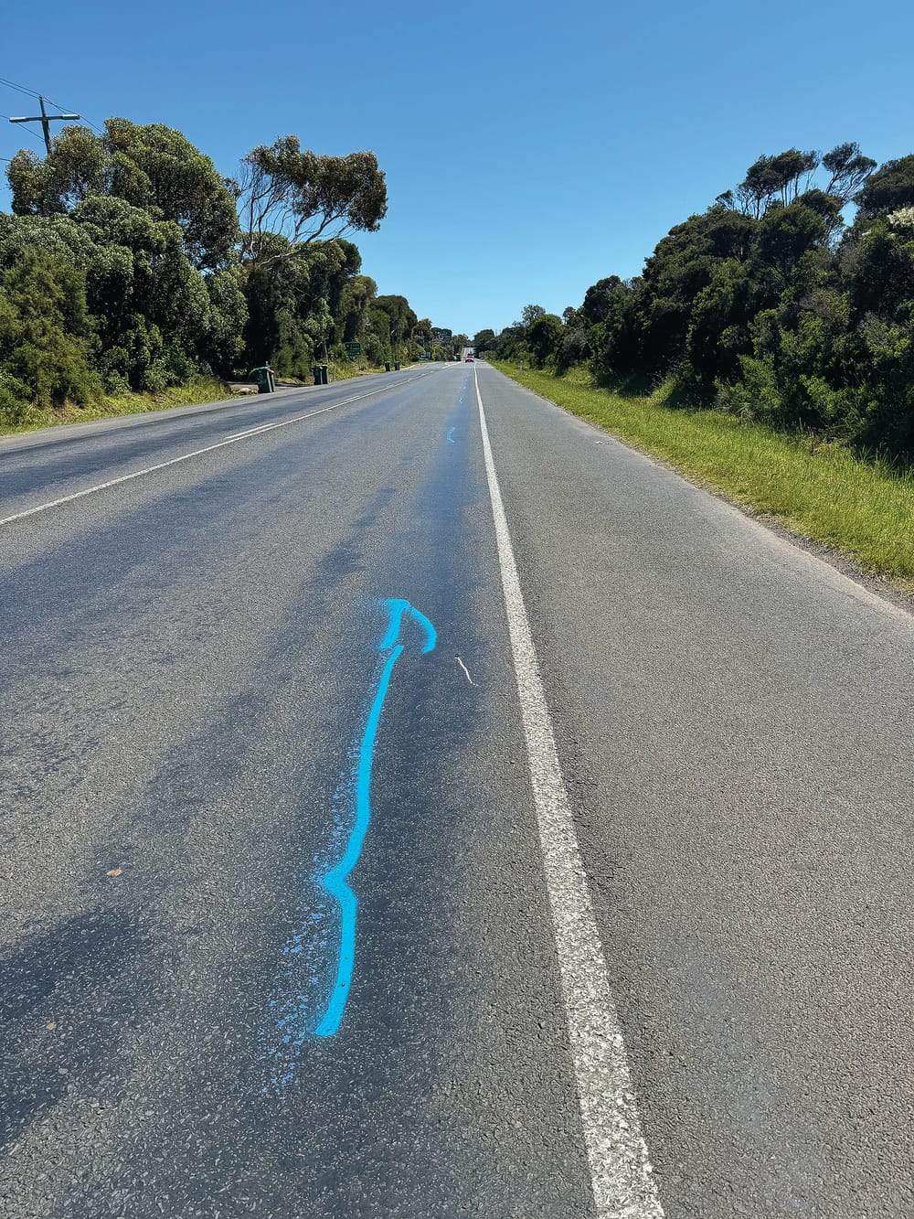 Blue line fever post image