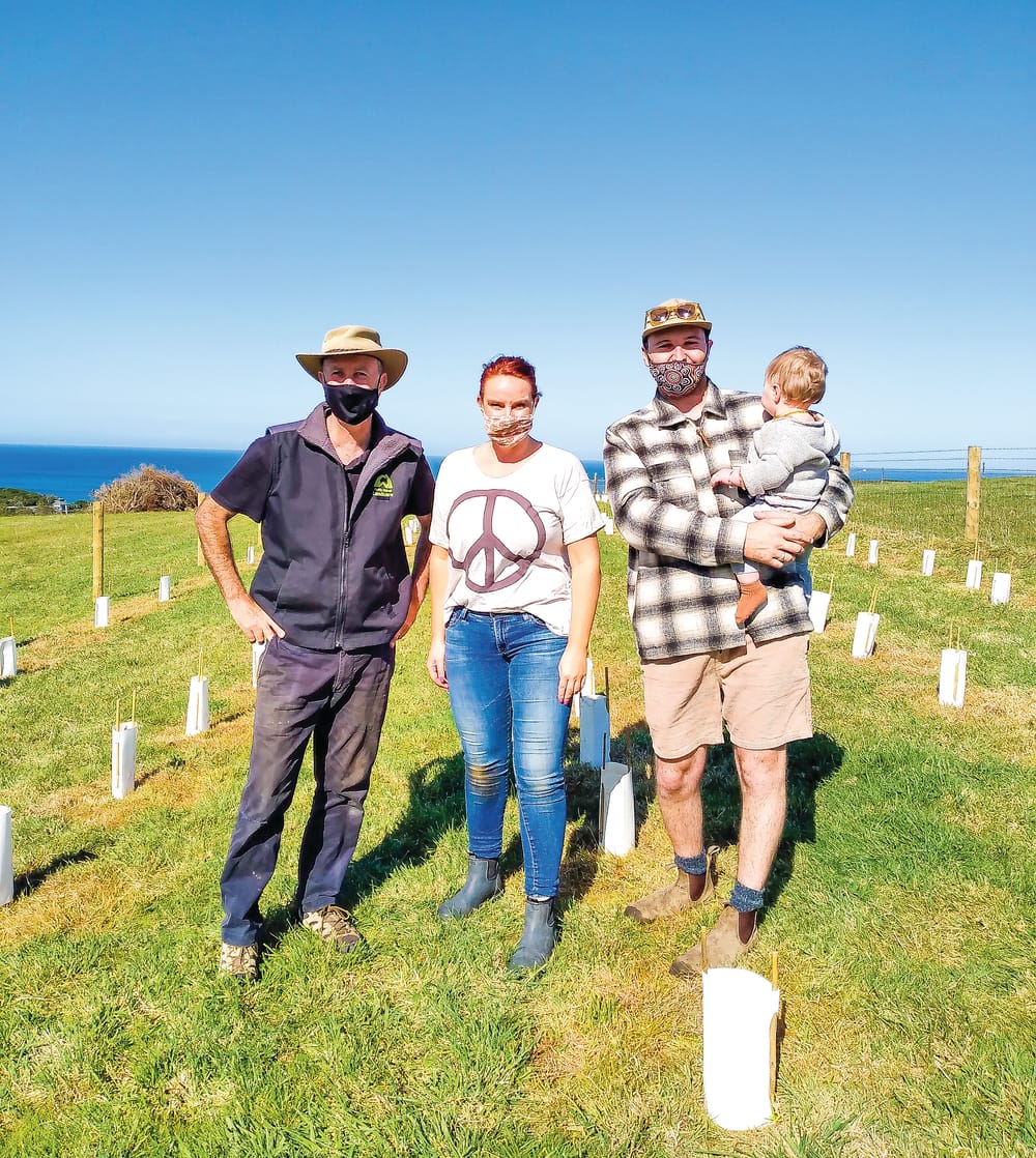 Take the Pledge - Plant a Tree post image