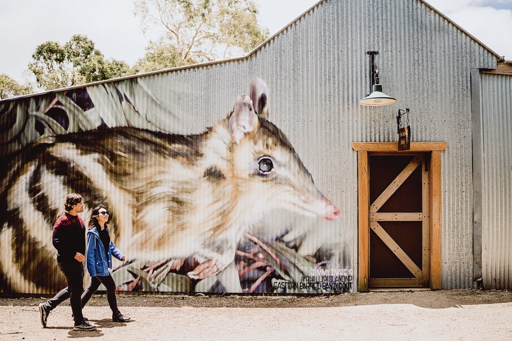 Guided tours with iconic animals this summer post image