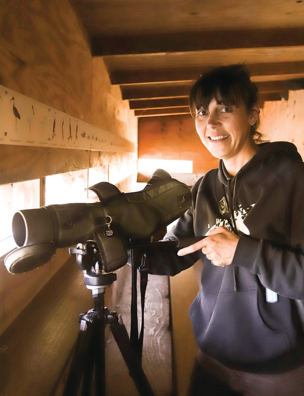 Like our migratory birds, Milly flew here post image