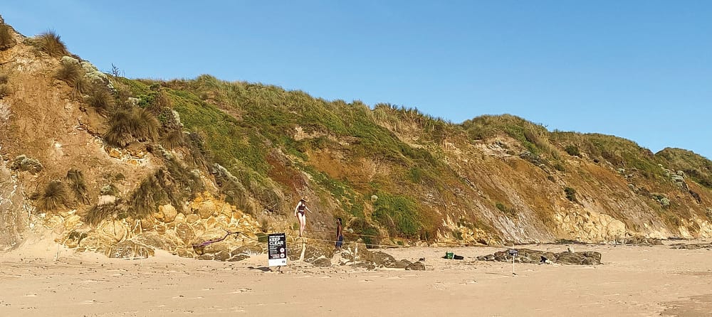 Hoodies survival on a tightrope post image