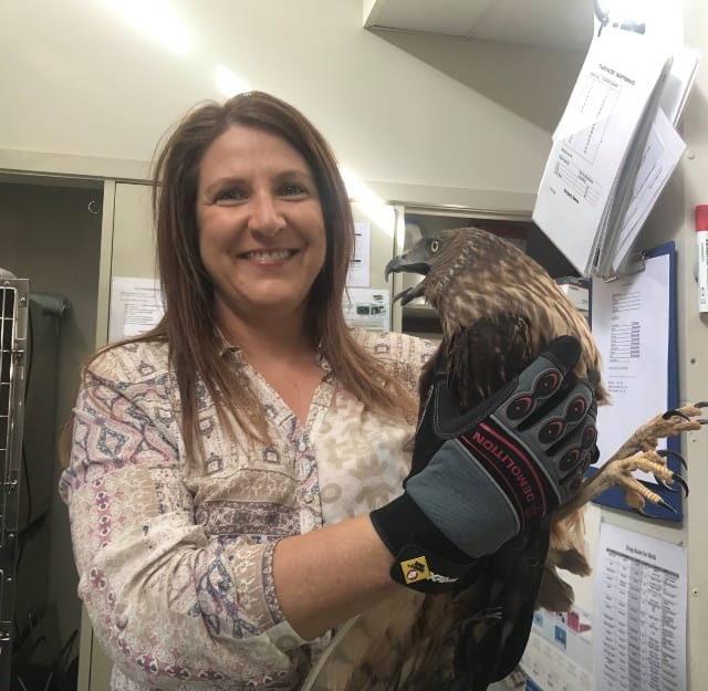 First hint Nature Parks will boost wildlife rescues post image