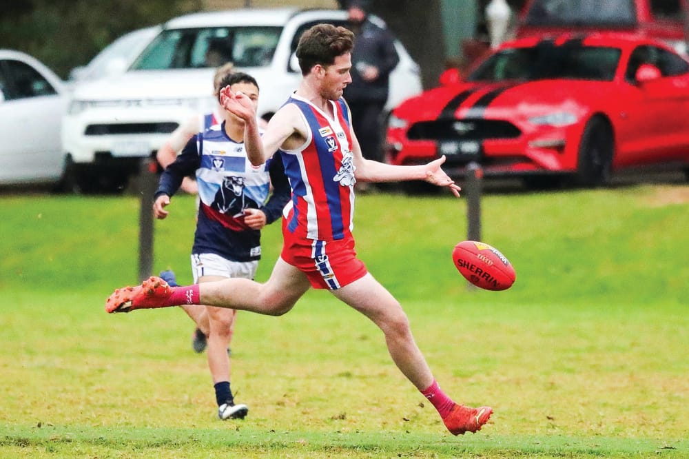 Finals fever for the Bulldogs - Seniors post image