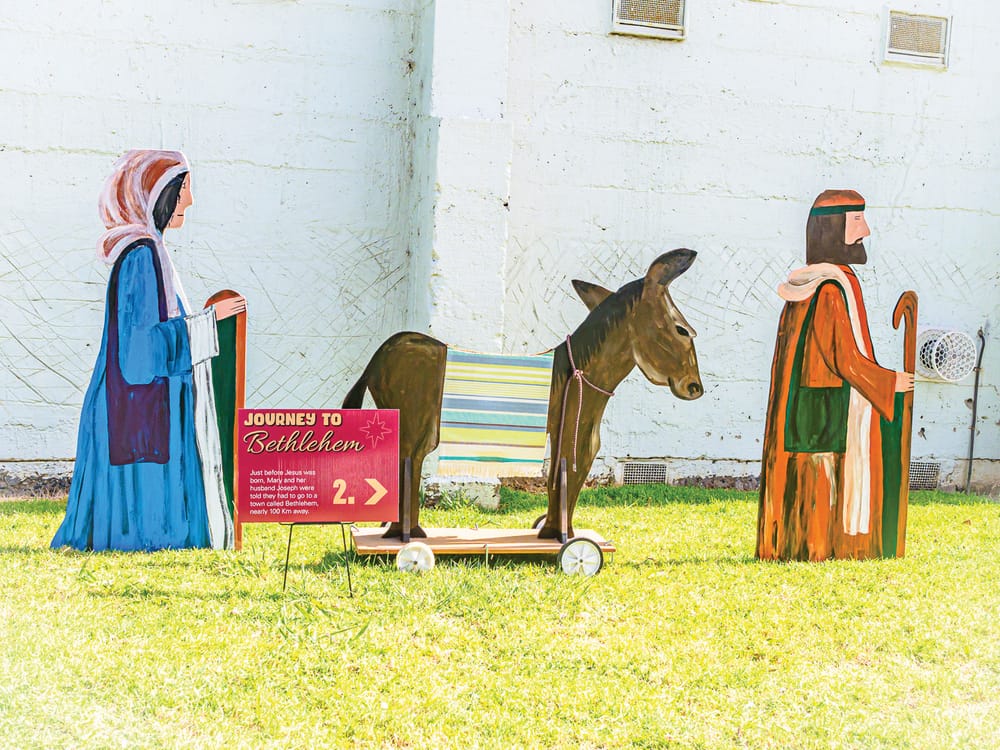 Do you have a donkey? post image