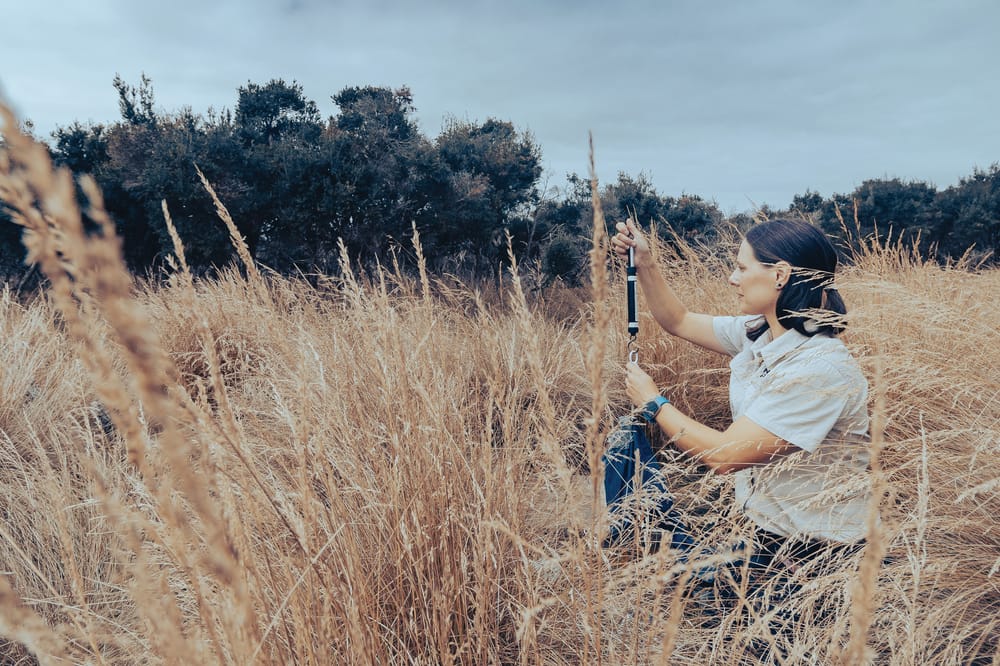 Snippets from The Island - Aiming for the superstars post image