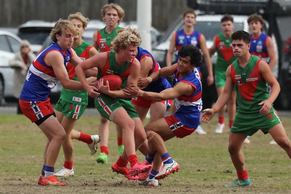 Bulldogs come home strong post image