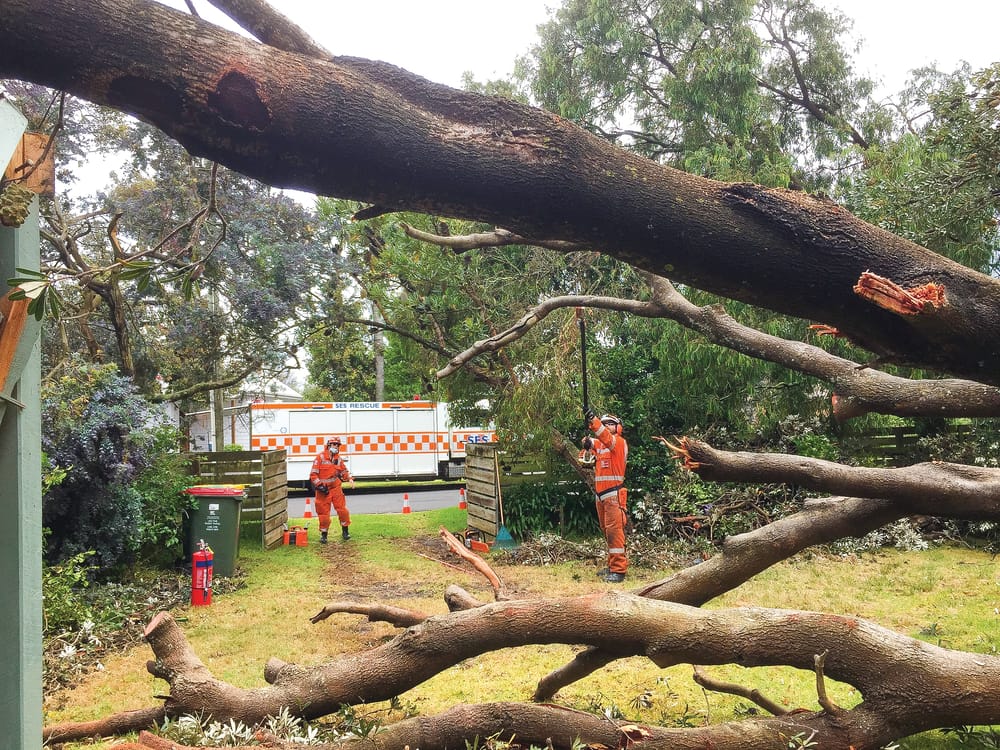 VICSES says thank you!! post image