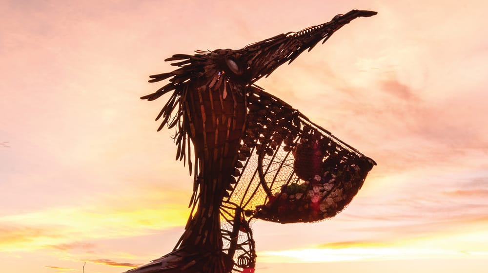 Farewell DAK post image