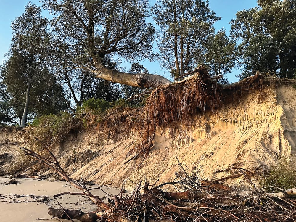 Residents eagerly await erosion answers post image
