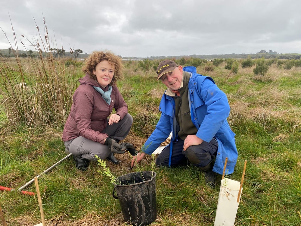 Love the island? Then plant one on it post image