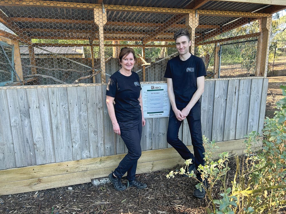 Farewell to Robbo the 97-year-old cockatoo post image