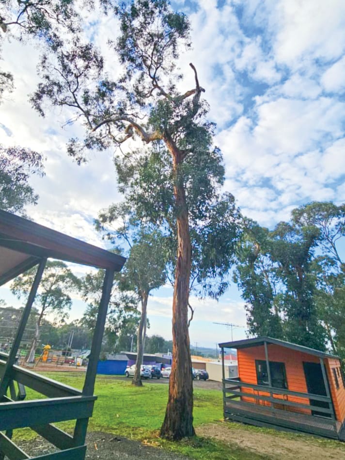 A Maze plans to grow post image