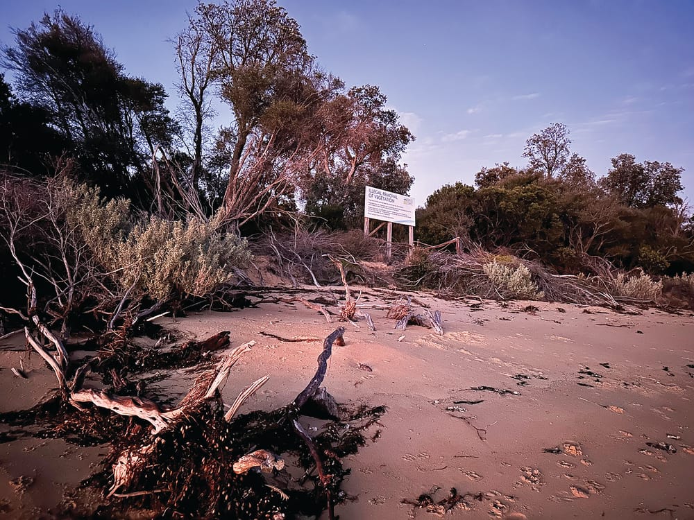 Community responds to erosion "emergency" post image