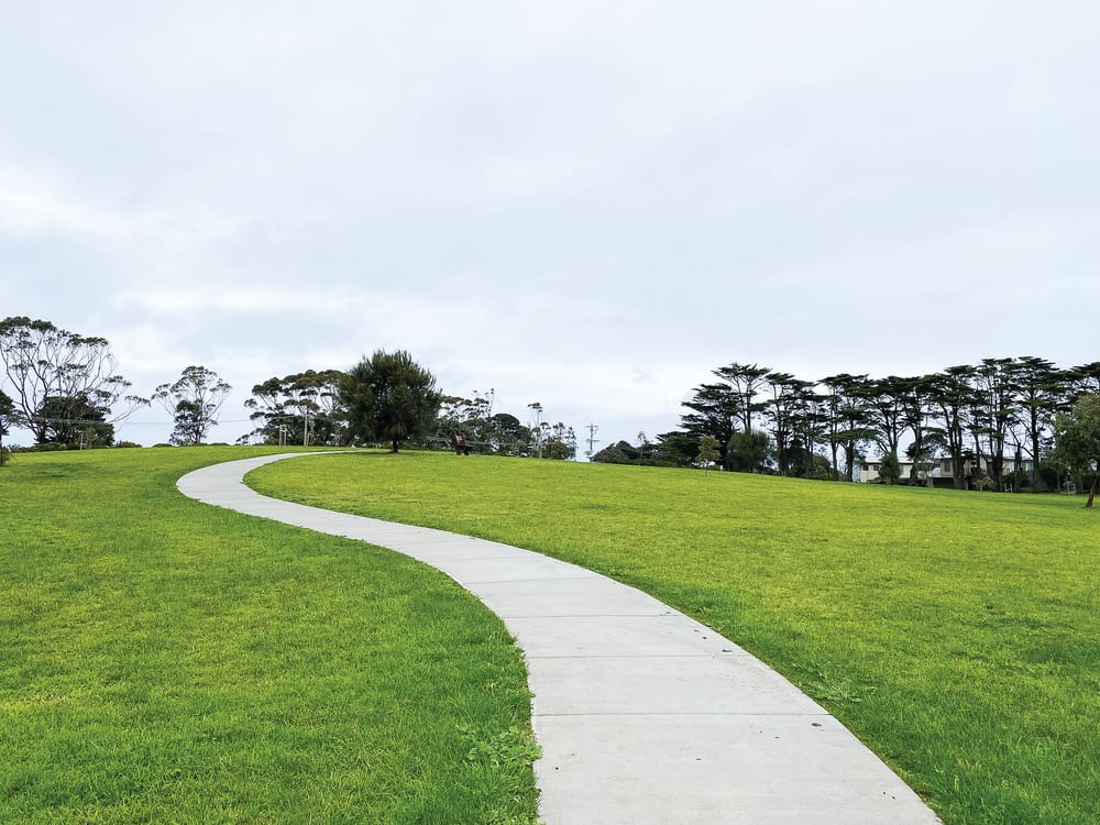 Masterplan paths questioned post image