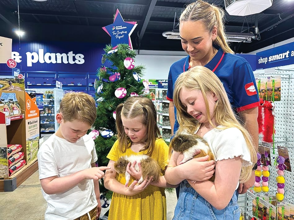 Petstock bring the Christmas care post image