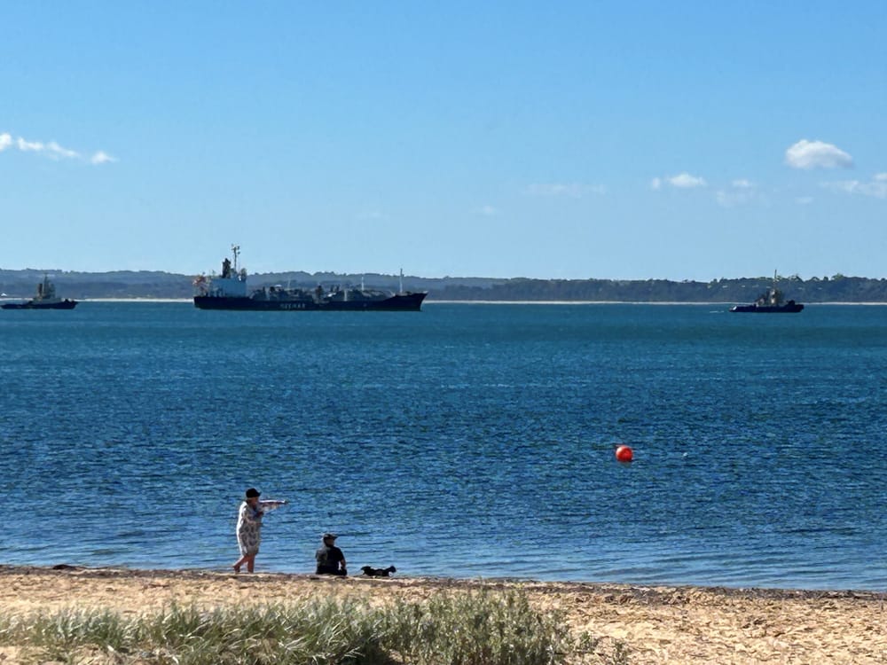 A visitor to our shores post image