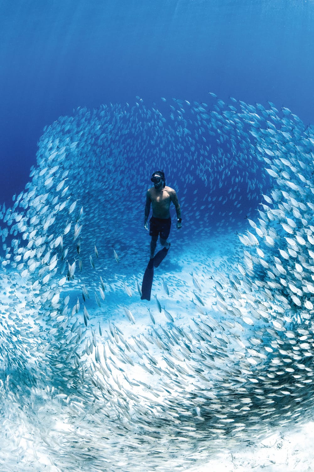 Immerse yourself in the Ocean Film Festival post image