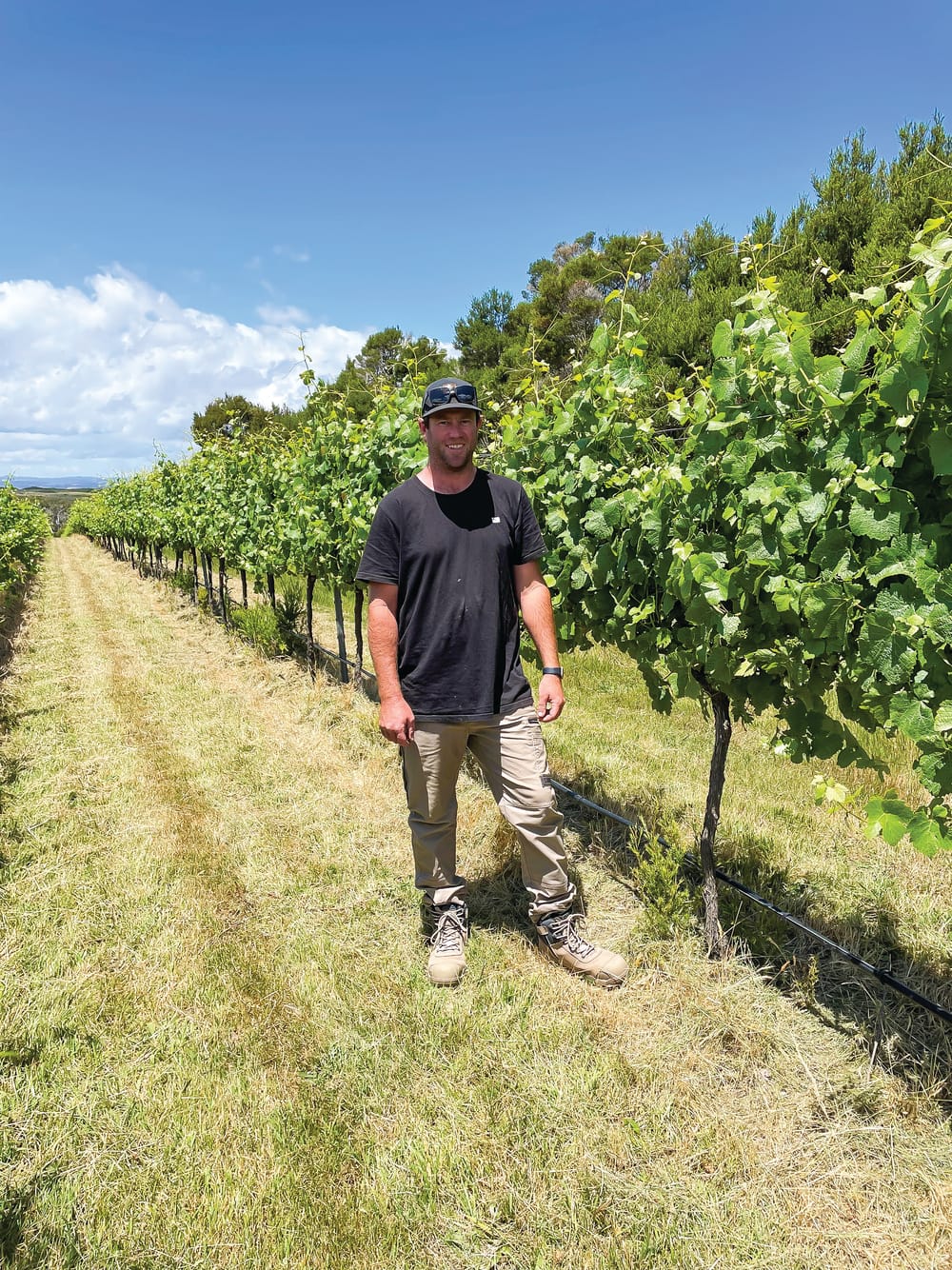 C’est la vie on French Island post image