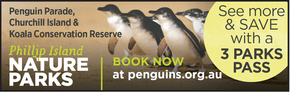 Nature Parks - Penguins, Churchill Island & Koala Reserve post image