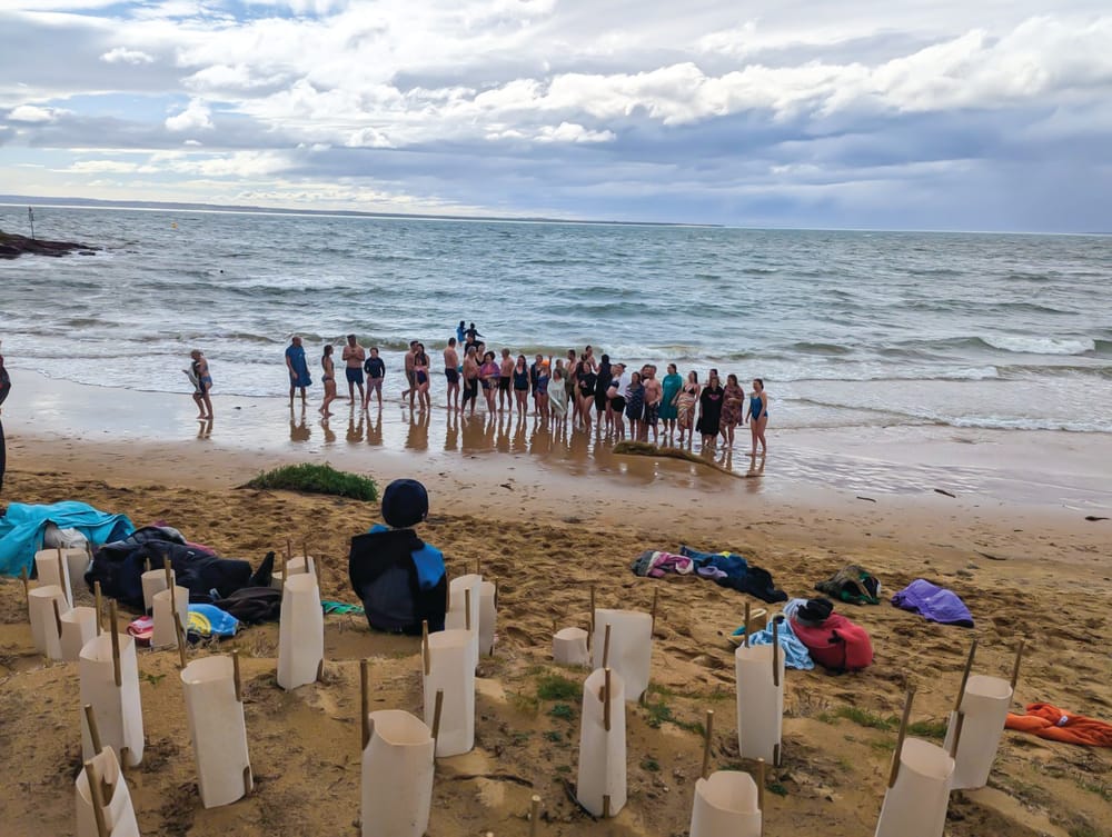 Polar Bears brave the breeze post image