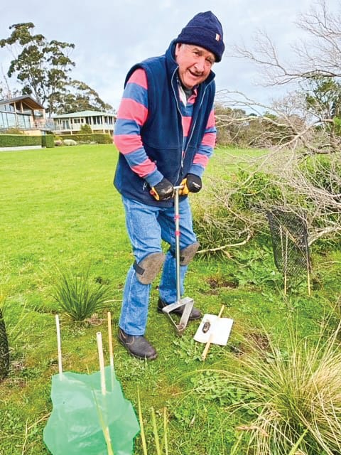 Working bee success post image