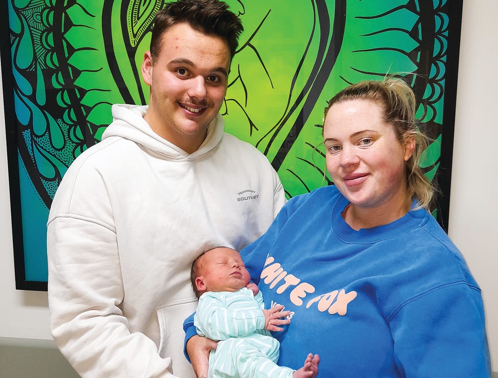 It's a baby Bear post image