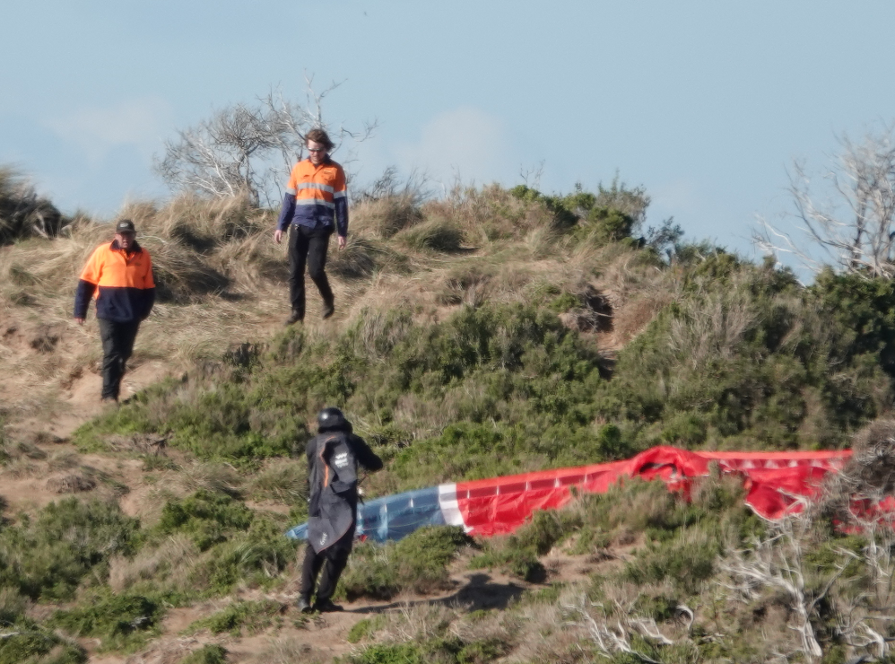 Hang on ... that's native habitat post image