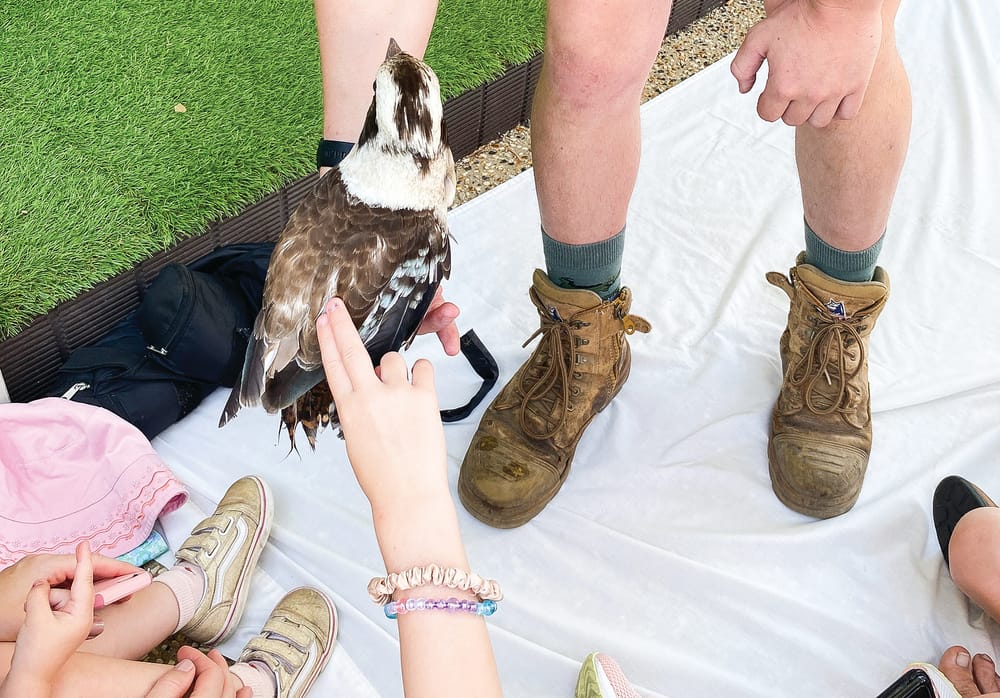 Annual treat for young and old post image