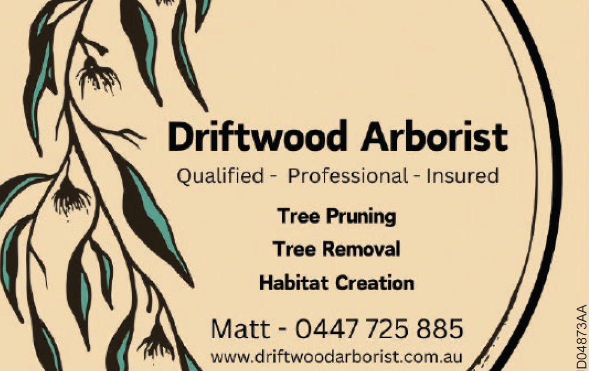 Driftwood Arborist post image