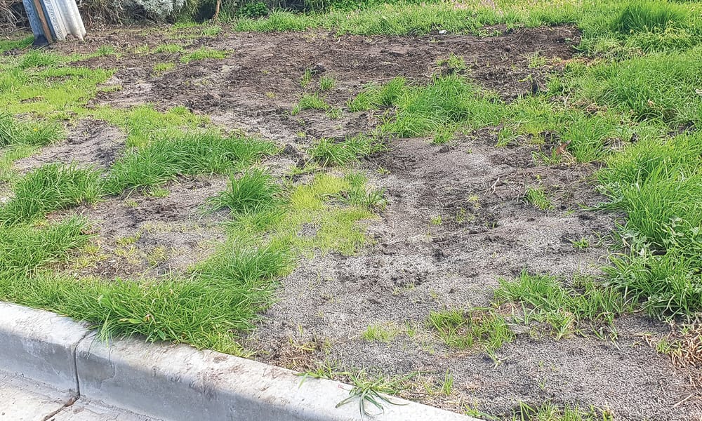 Bonwick battles continue post image