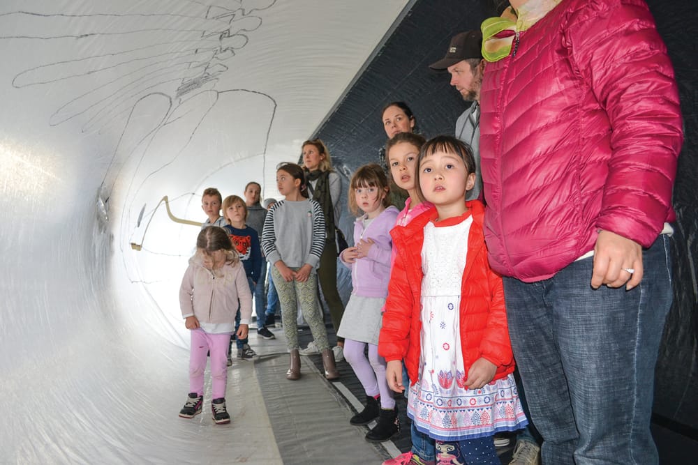 Whale Fest is best post image