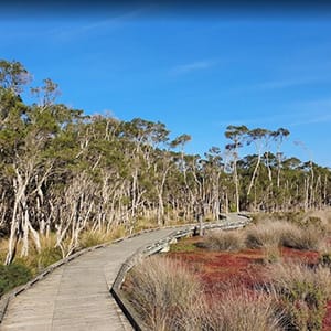 Rhyll Inlet & Conservation Walk post image
