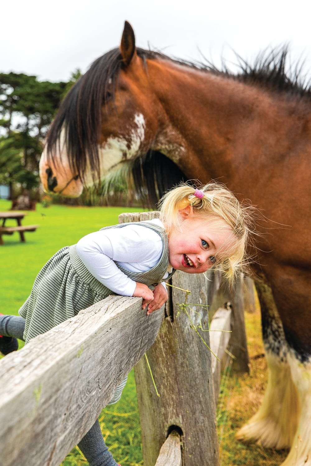 Nature Parks’ annual Community Open Day happening soon post image