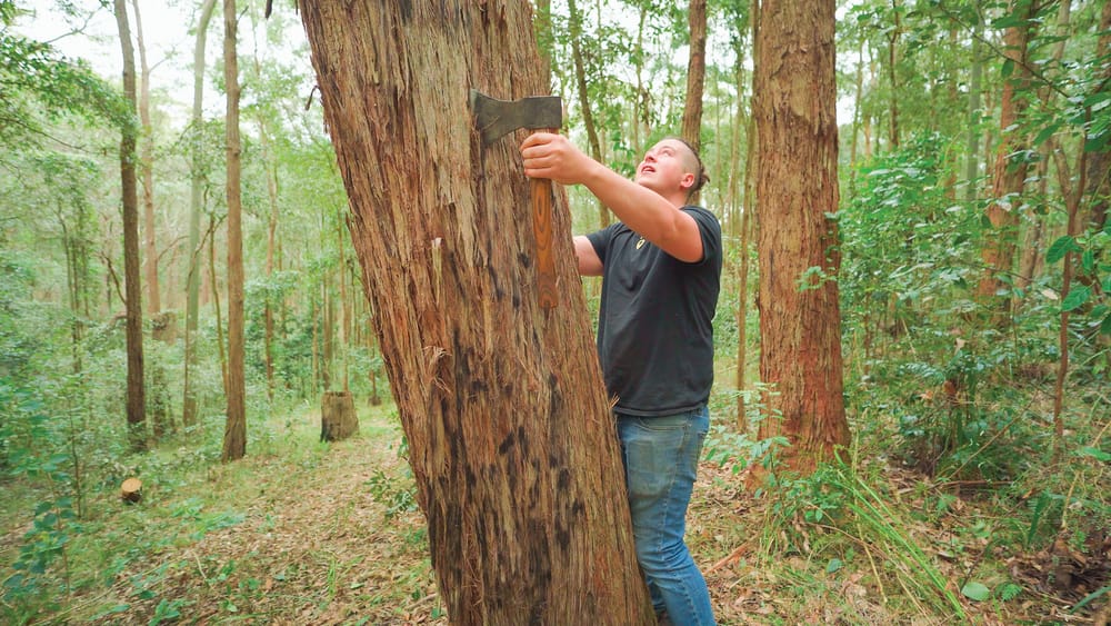 Creating a traditional Stringy Bark Canoe post image
