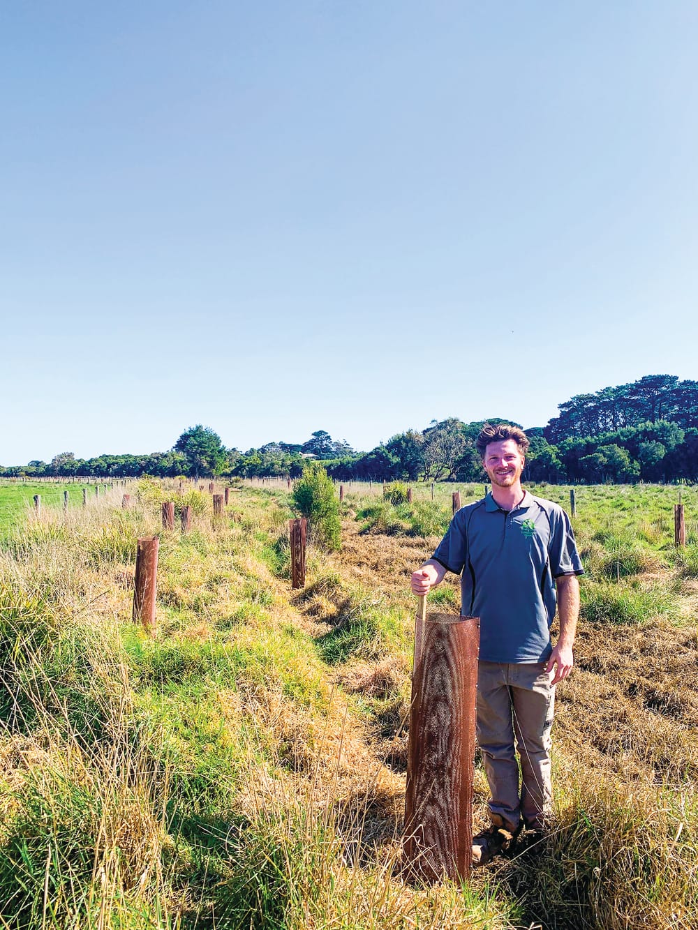 Wildlife eating their way across the island post image