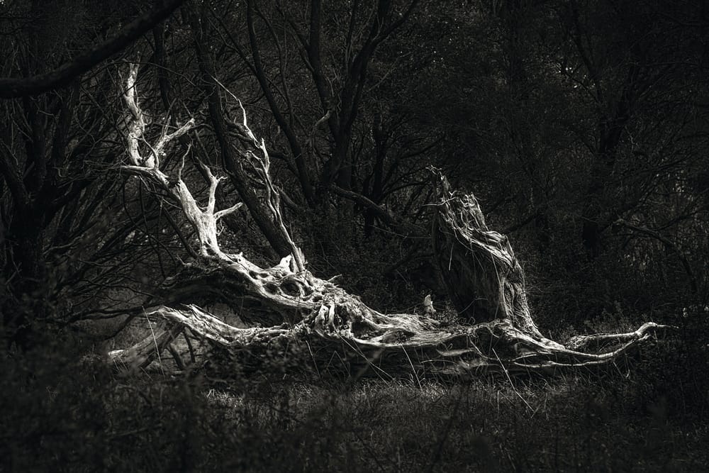 The ‘Best of the Best’ post image