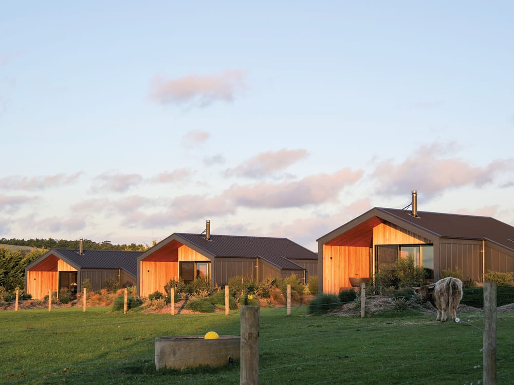 Ventnor neighbour loses VCAT objection post image