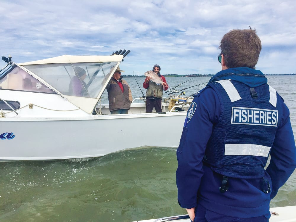 Anglers targeted for illegal catch post image