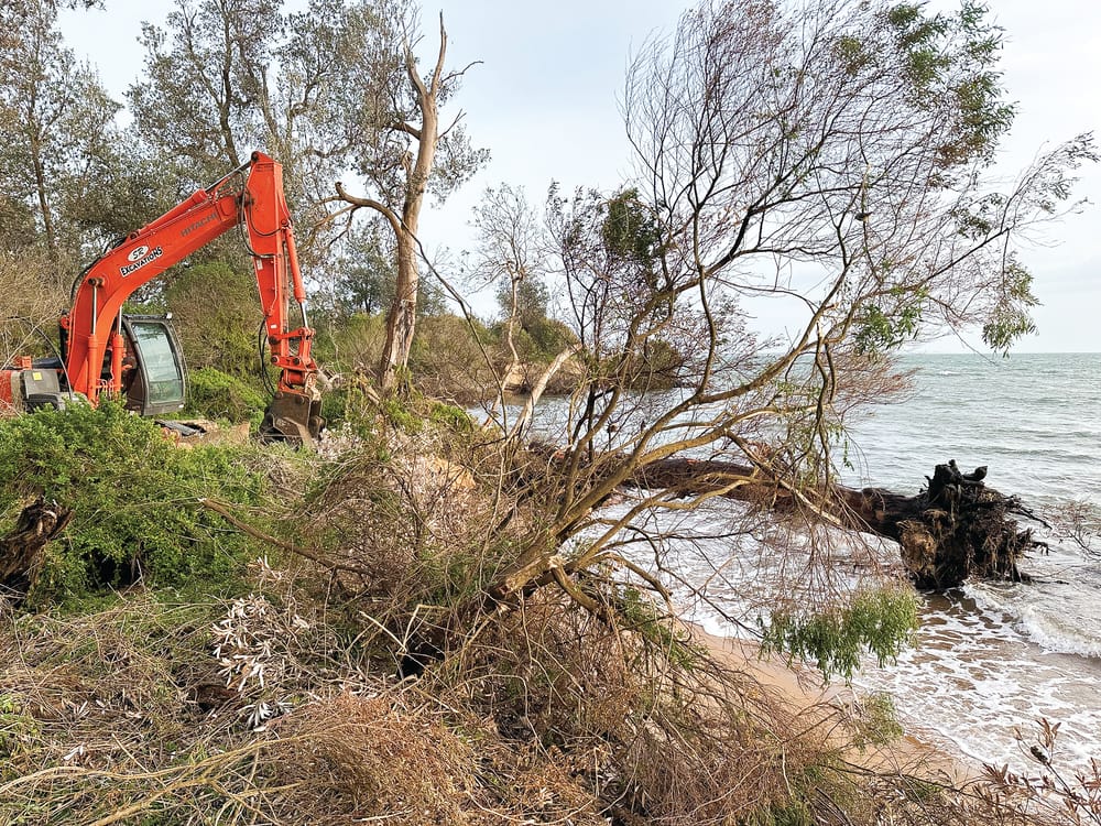 House permit poses "risk to safety, health and life": VCAT post image