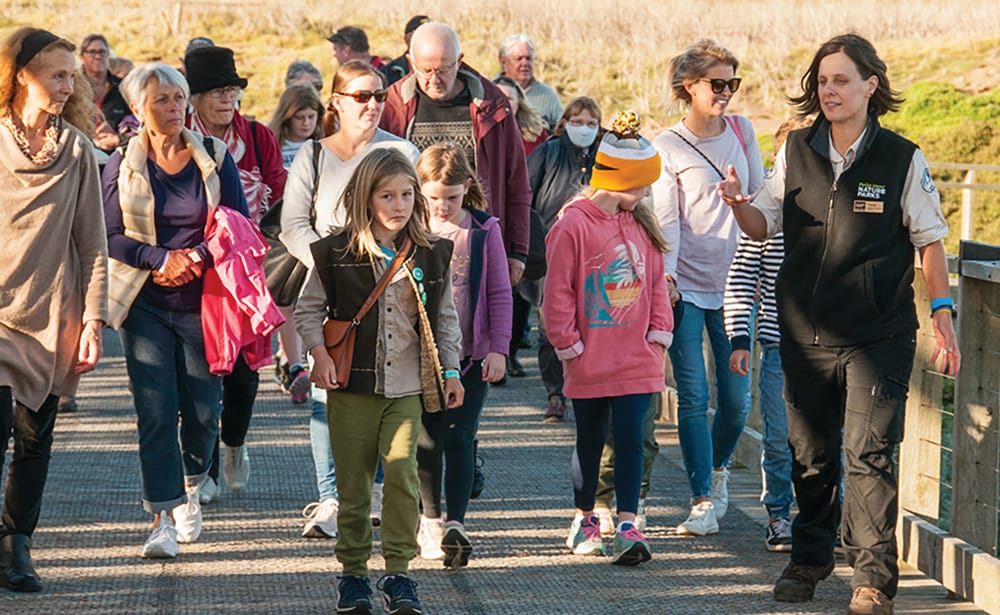 Family fun takes centre stage at the Penguin Parade post image