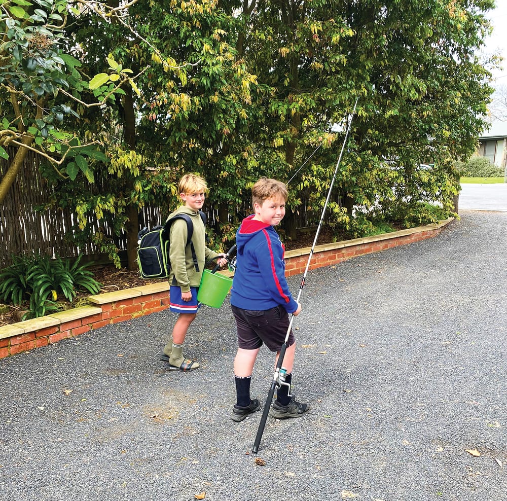 Stepping out of lockdown post image